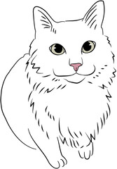 Cat and Dog Ink Sketch Illustration