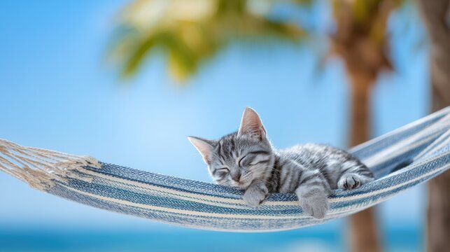 Cute cat napping comfortably in a hammock on a sunny tropical beach surrounded by palm trees and white sand in a close-up shot
