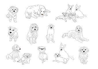 Animals Cat and Dog Line Art Bundle