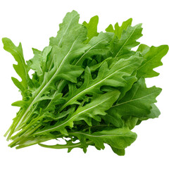 Fresh arugula leaves isolated on transparent background