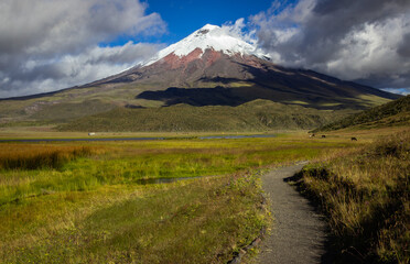Snow-capped cotopaxi volcano rises majestically under a clear blue sky, surrounded by lush greenery...