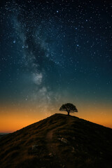 Fototapeta premium Milky way stretches across a clear night sky above a lone tree on a rugged hill at twilight creating a serene landscape of stars solitude wonder wilderness and peaceful cosmic beauty
