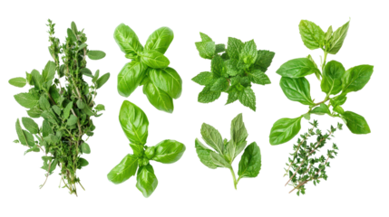 Herb leaves mix including basil, thyme, and mint background isolated on a Transparent background, PNG file.
