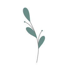 Minimalist leaf illustration. Leaf illustration for wedding invitation decoration. Beautiful leaf illustration. Aesthetic leaf illustration. Botanical leaf illustration 