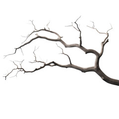 Dry twisted tree branch with no leaves on transparent background