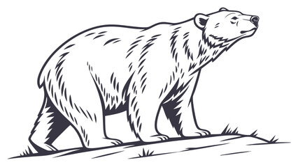 representation of a standing bear