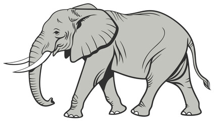 elephant