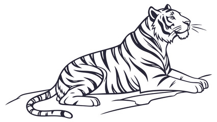 tiger vector illustration
