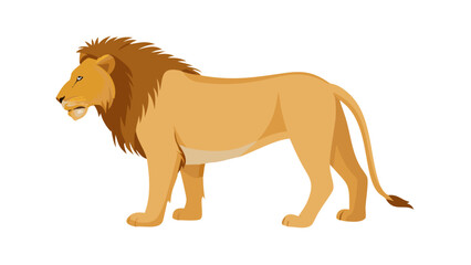 lion