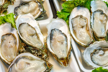 fresh oysters at the fish market, close-up, selective focus
