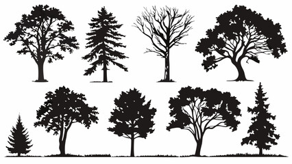 Obraz premium Tree Silhouettes Collection - Deciduous, Pine, and Broadleaf Trees in Black and White