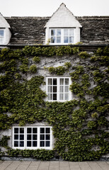 An Ivy Covered Town House In Central Oxford