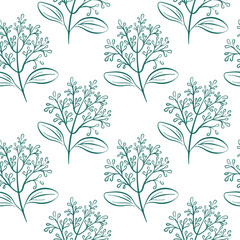Seamless pattern with cinnamon flower branch drawn in line art style on white background. Perfect for botanical, herbal or spice themed packaging and design project.