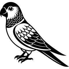 Fototapeta premium dove of peace