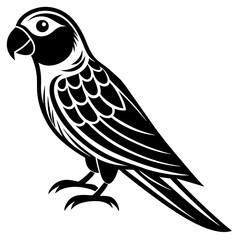 Obraz premium bird of prey