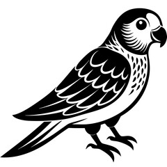 Obraz premium bird on a branch