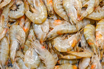 fresh raw shrimps in supermarket close-up