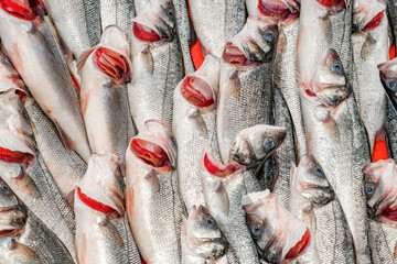 fresh raw fish in supermarket close-up