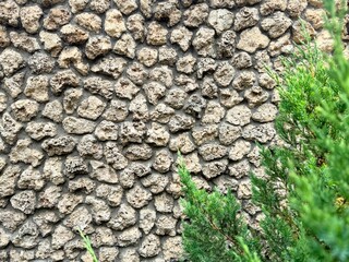 beautiful background of rough asymmetrical stones in beige tones with an accent in the form of a green juniper branch.
