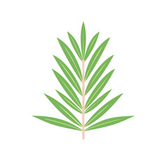 Fototapeta premium Rosemary Sprig Herb Icon Isolated on a Transparent Background
