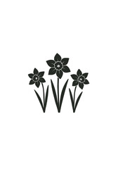 Vector Silhouette Icon of Three Daffodil Flowers in Black on White Background for Spring, Gardening and Floral Design Concepts