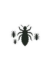 Black Vector Silhouette Icons of Lice Insects in Various Sizes on White Background for Medical, Hygiene and Parasitic Pest Concepts