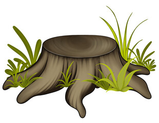 Tree Stump