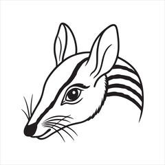 Woodland Wanderer: Discovering the Elusive Numbat