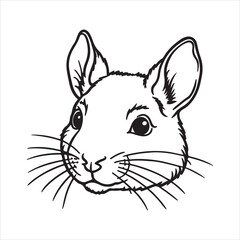 Alpine Echo: Discovering the High-Altitude Life of the Pika