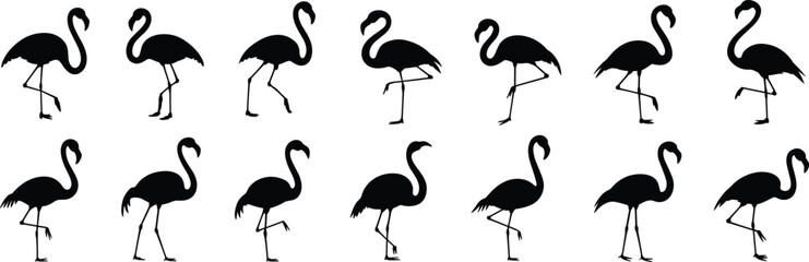 Flamingo silhouette vector, standing flamingos clipart, bird outline graphics, tropical birds, exotic animal, black flamingo art, elegant pose collection, printable wildlife design, minimalist decor