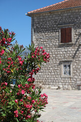 beautiful old brick house. Flowers on the background of the house