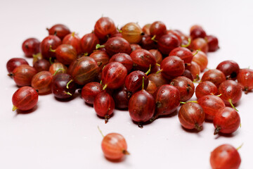 A handful of fresh gooseberries in drops of water, close-up, on a light background