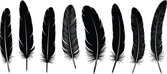 Black bird feathers vector illustration, hand-drawn feather collection, nature-inspired silhouette art, detailed plume sketch set, rustic boho design element