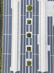 solar power station on rooftop of plant building