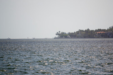 Coconut Grove