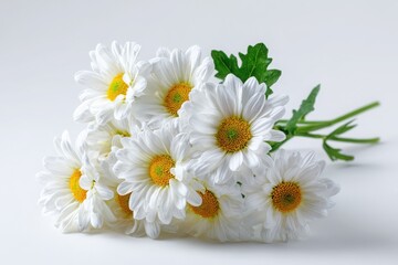 Fototapeta premium bouquet of white daisies