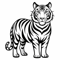 tiger vector illustration