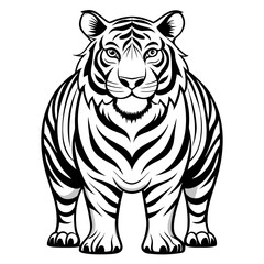white tiger vector