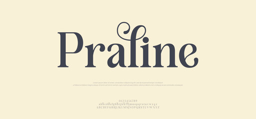 Elegant Logo Uppercase Lowercase Font. Typography decorative elegant lettering for logo. vector illustration.  vector illustration

