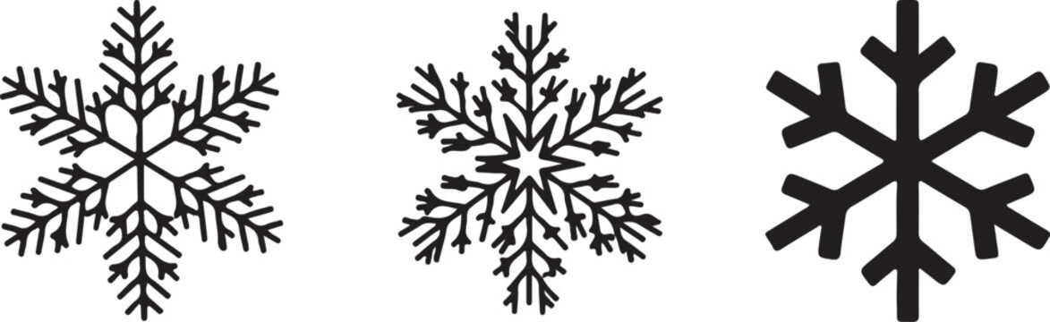 Collection of Intricate Snowflake Illustrations Winter Design Elements