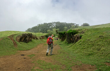 Trek &agrave; Mad&egrave;re 2025 - Jour 6 (Achadas da Cruz, Vereda do Calhau, vereda da Ladeira, For&ecirc;t de Fanal dans la brume)