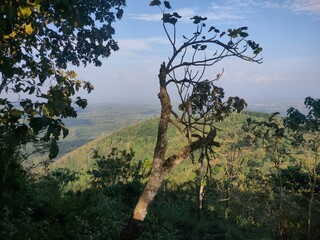Scenic view from a hilltop overlooking lush green hills, forests, and a distant landscape under a...