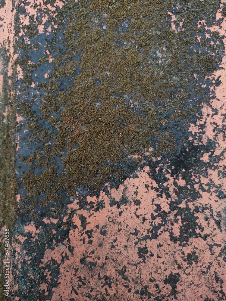 Poster weathered surface texture with natural moss growth and peeling paint creating an abstract pattern.