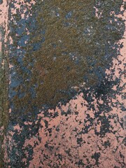 Weathered surface texture with natural moss growth and peeling paint creating an abstract pattern.