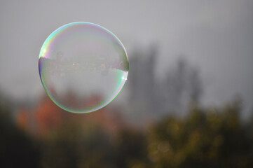 Large bubble floating with an autumn landscape in the background