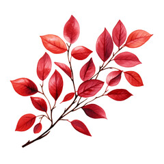 Leaves Clipart, Leaves Png, Leaf Clipart png