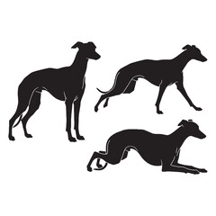 Fluid Whippet digital black silhouette, rendered perfectly for clarity and appeal - Whippet silhouette - Whippet Vector - Silhouette of Whippet - dog silhouette

