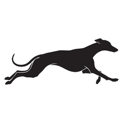 Standard Whippet digital black vector, a classic and easily adaptable option - Whippet silhouette - Whippet Vector - Silhouette of Whippet - dog vector

