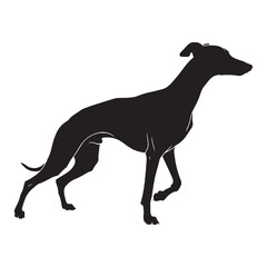 Versatile Whippet black vector asset, a truly modern digital image for diverse uses - Whippet silhouette - Whippet Vector - Silhouette of Whippet - dog silhouette

