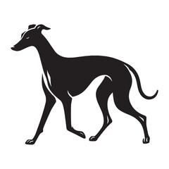 Agile Whippet black vector graphic, reflecting its swift and fluid temperament - Whippet silhouette - Whippet Vector - Silhouette of Whippet - dog silhouette

